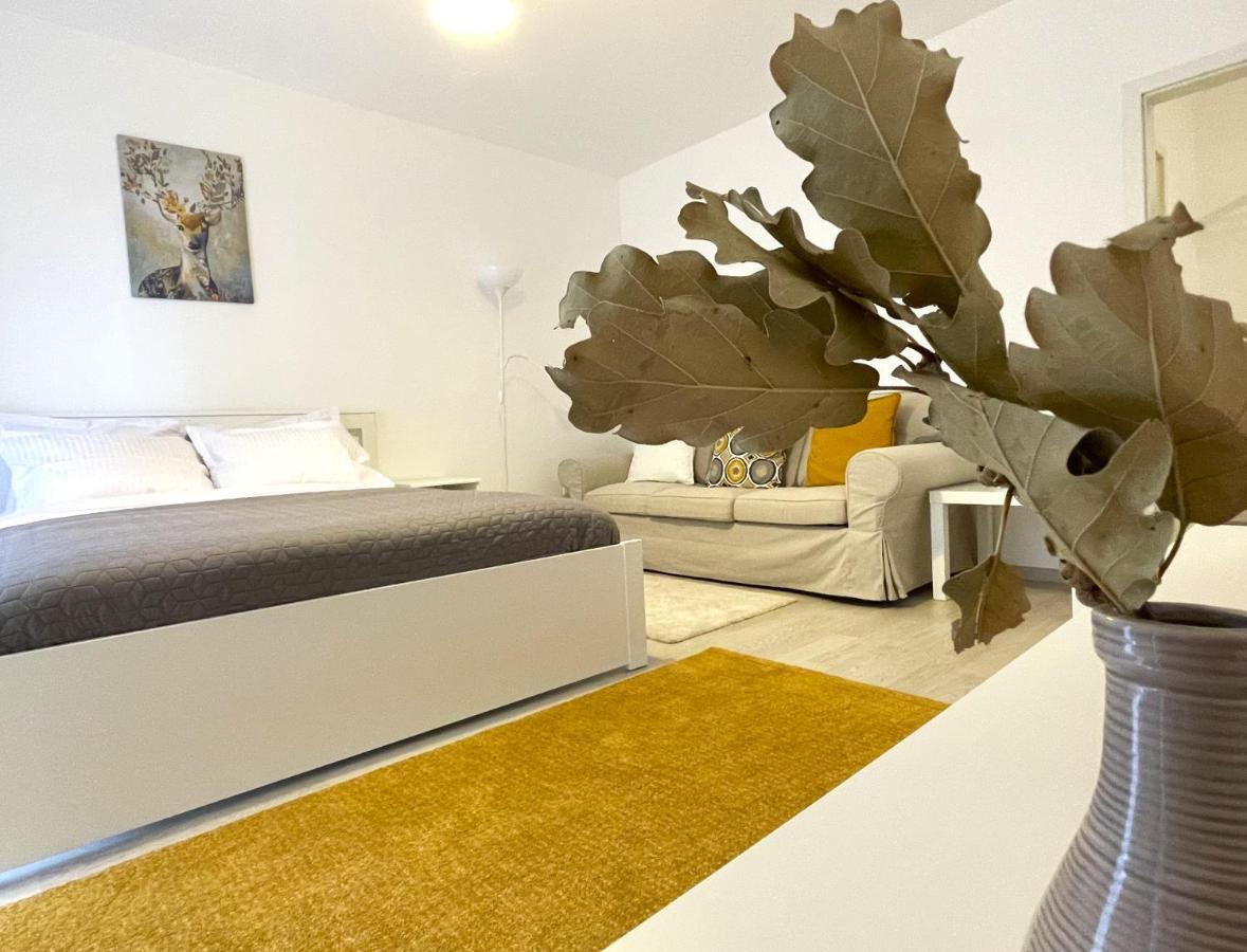 Bartolomeu Serenity Studio Braşov Buitenkant foto